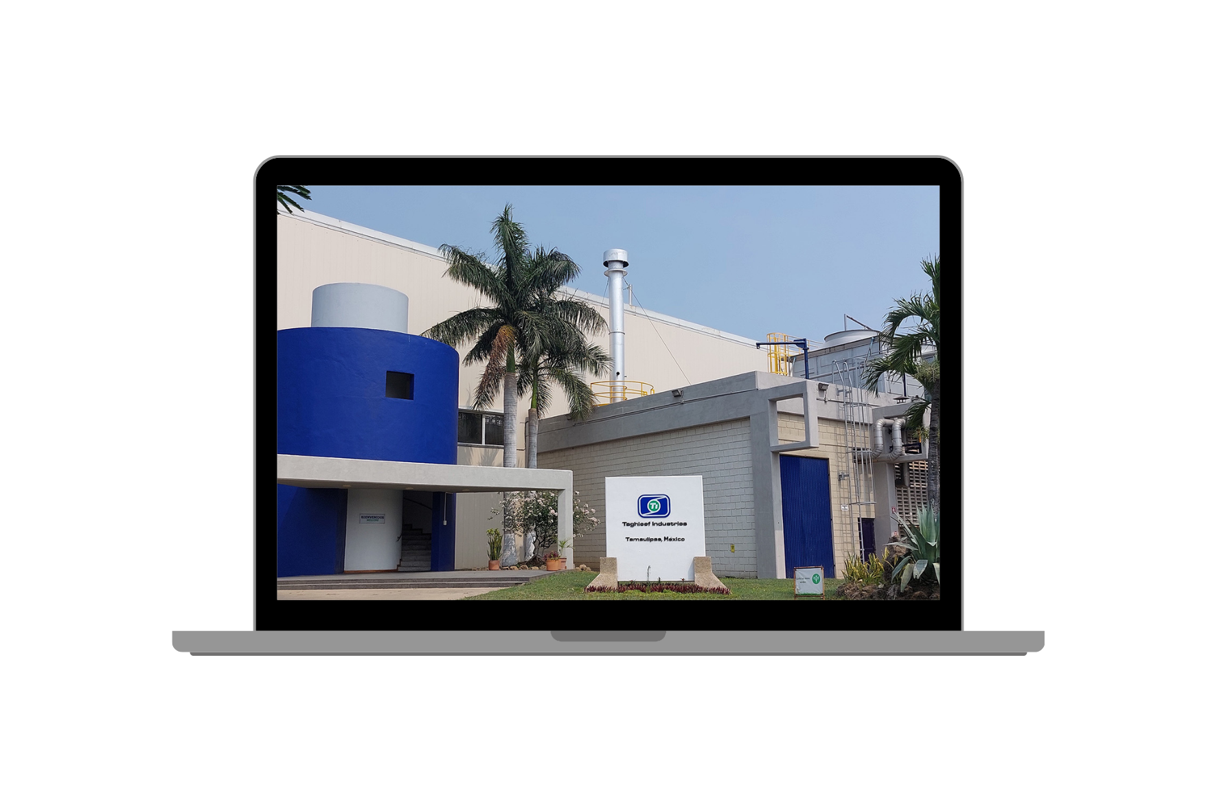 Taghleef - Caso de éxito