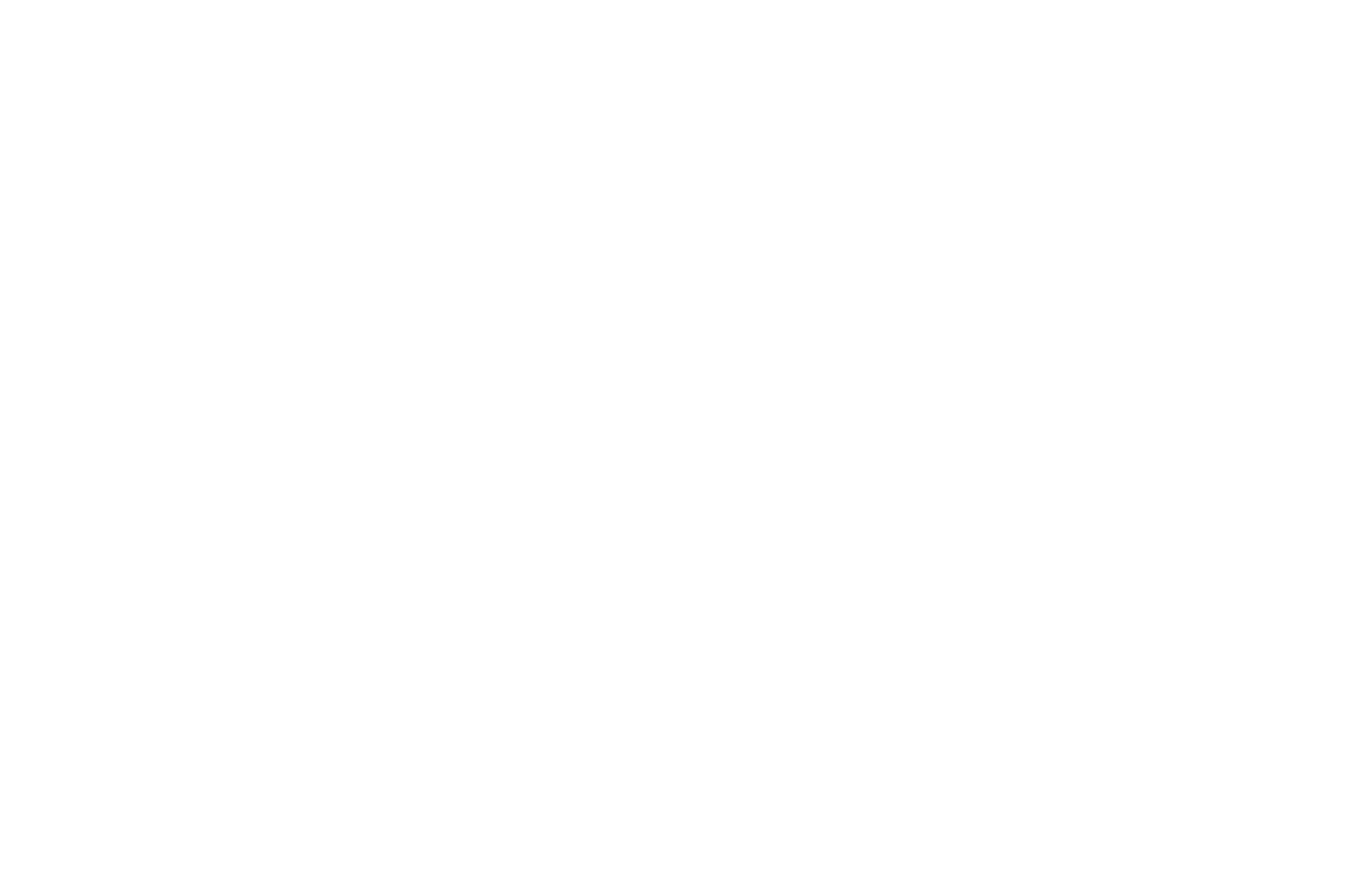 Alfaparf Milano
