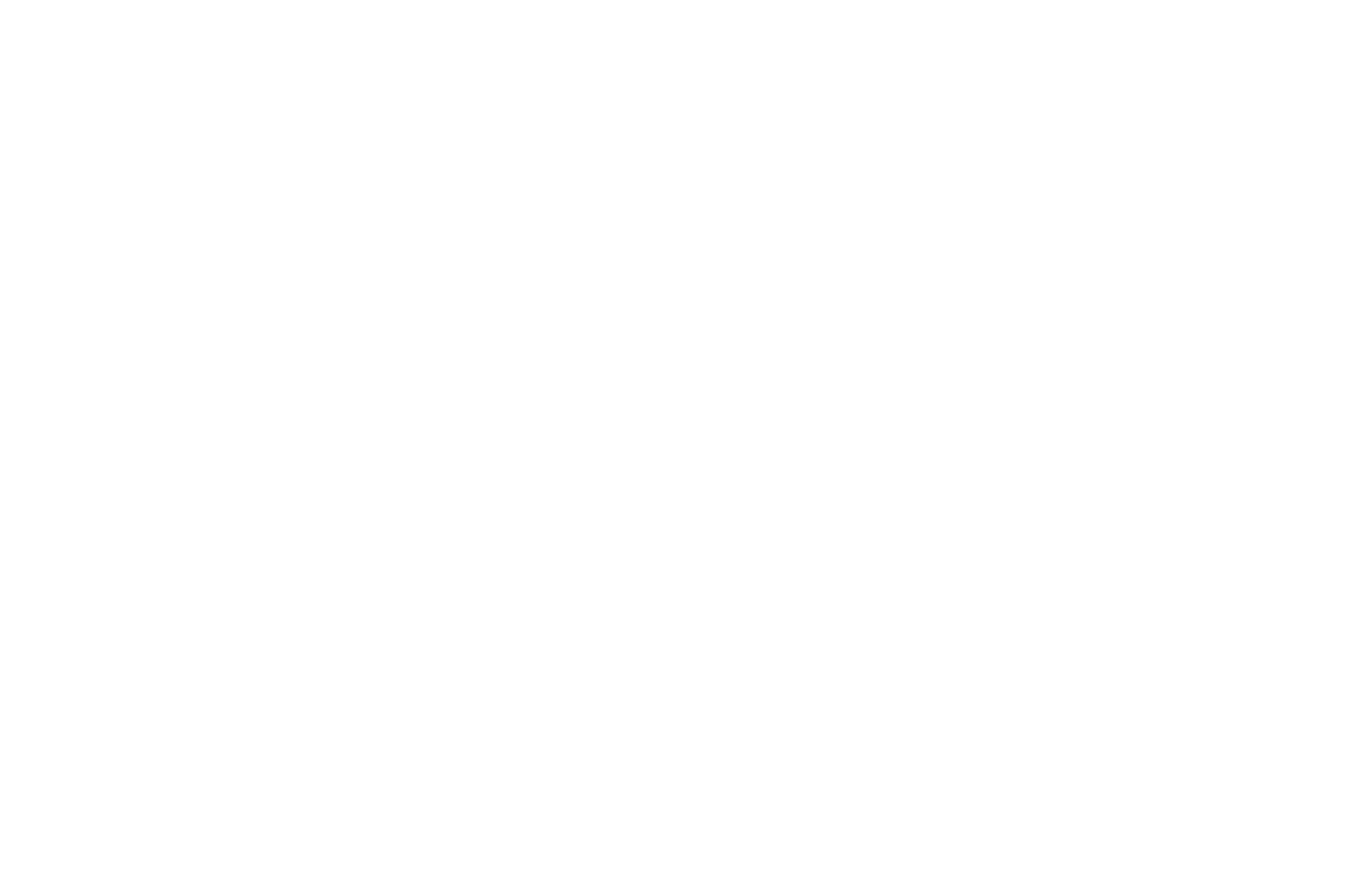 SAP Consulting